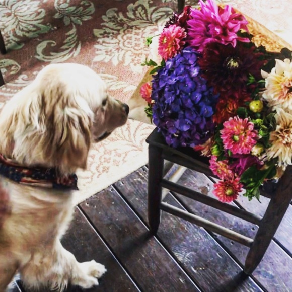 Meet your Posher, Leah - Picture 8 of 8